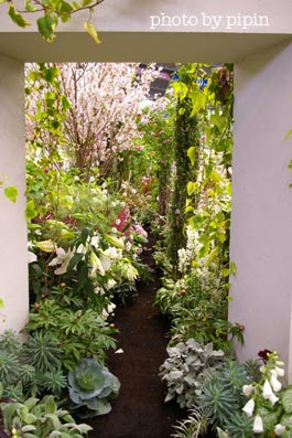b0059664_0493771.jpg