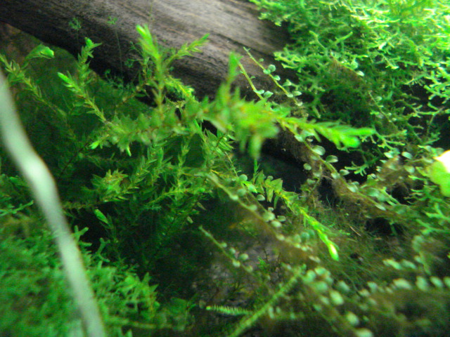 f0156765_19224337.jpg