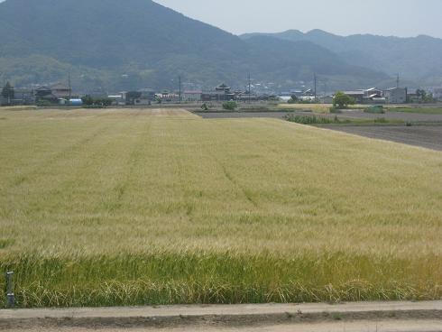 f0146466_1811981.jpg