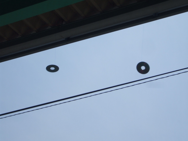 c0138868_1351017.jpg