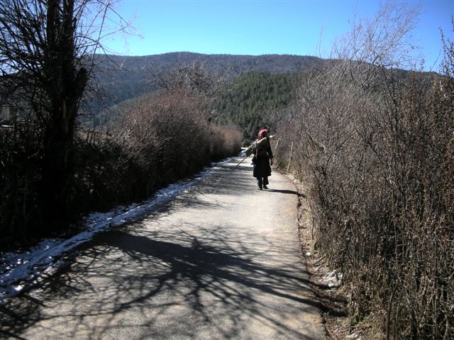 c0110871_12462579.jpg