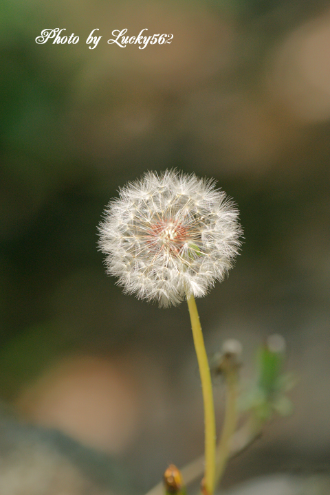 e0002371_18124097.jpg