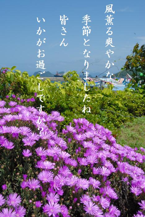 c0136480_21502373.jpg