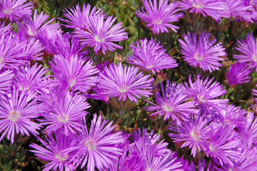 c0136480_220695.jpg