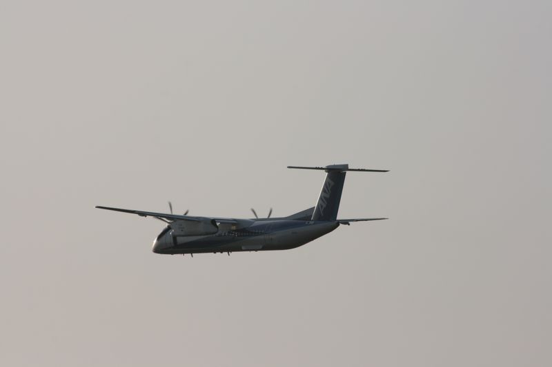 c0148781_20155658.jpg