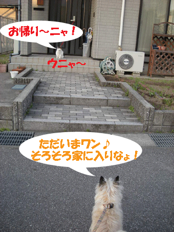 e0066883_082092.gif