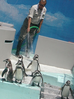 e0135287_1247425.jpg