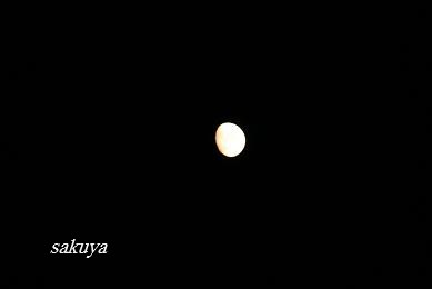 e0122194_2213211.jpg