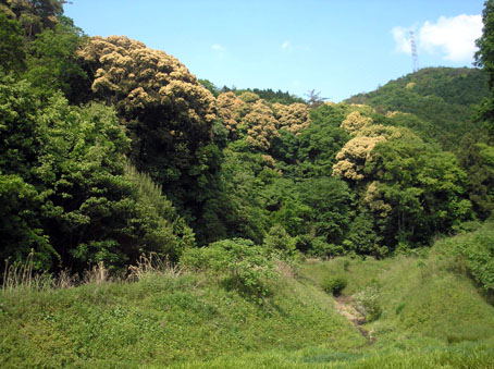 e0083097_21103290.jpg