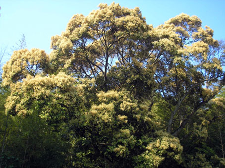 e0083097_21104934.jpg