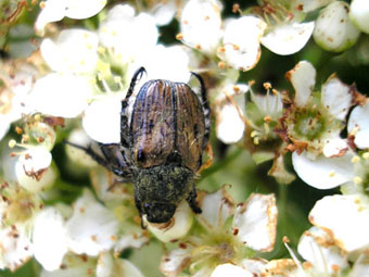 e0083097_2114446.jpg
