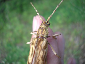 e0083097_21453663.jpg