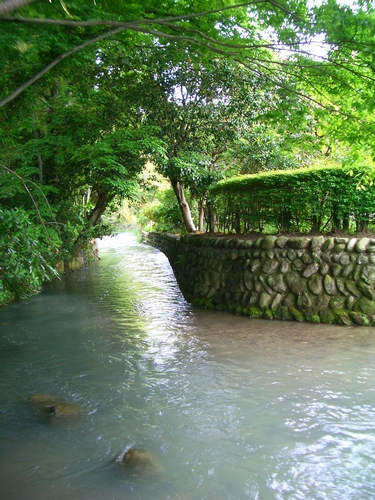 d0069498_14314914.jpg