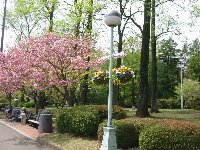 e0122199_1014279.jpg