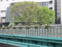e0122199_10145877.jpg