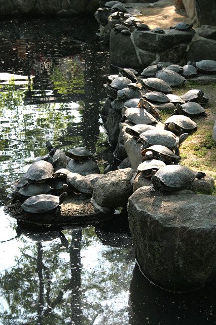 f0083400_14331396.jpg