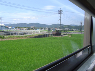 c0006904_17393265.jpg