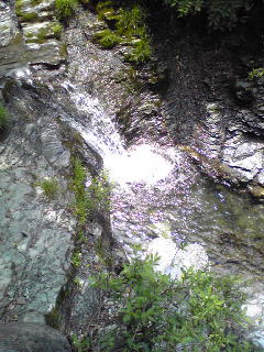 e0131904_10573735.jpg