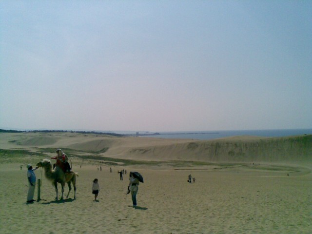 d0016409_23353391.jpg