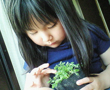 f0047609_22441058.jpg
