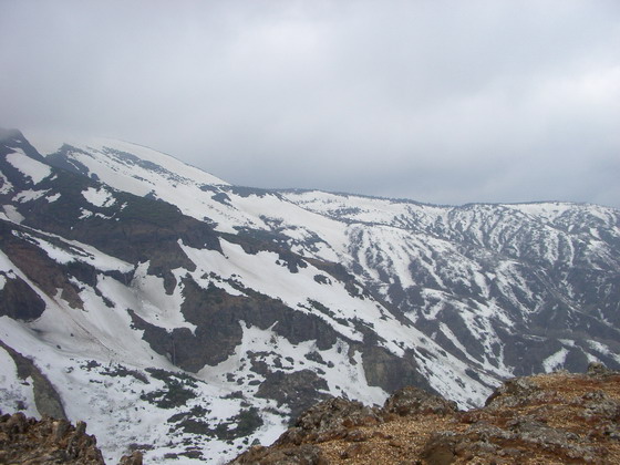 b0010914_23392428.jpg