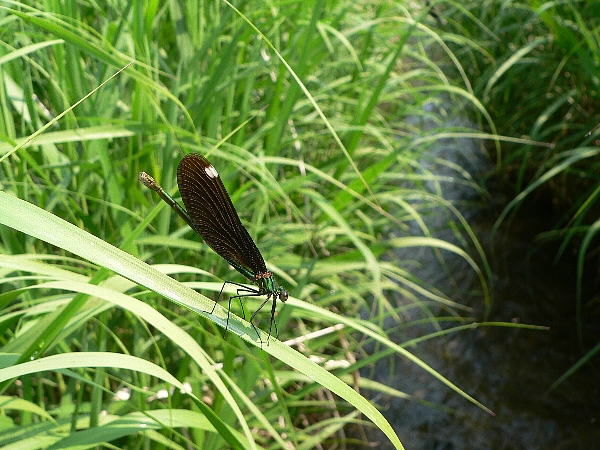 e0002314_19501679.jpg