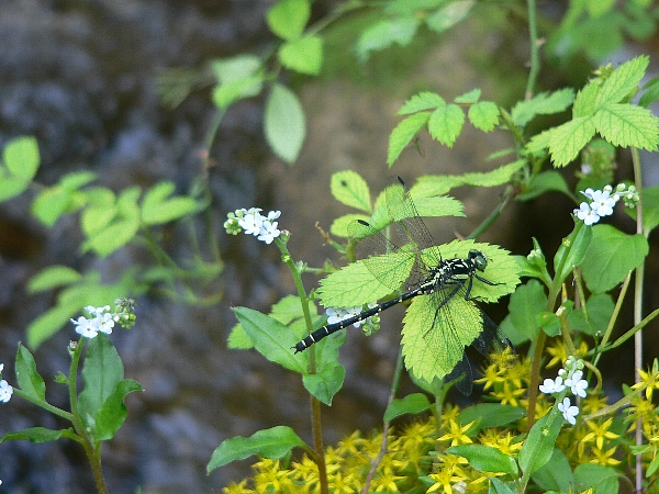 e0002314_2081798.jpg