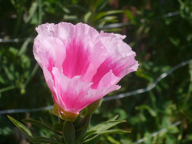 e0026017_23513534.jpg