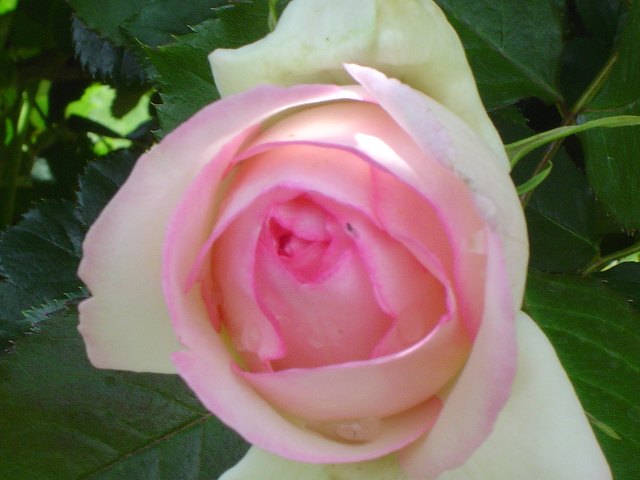 c0127029_19174941.jpg