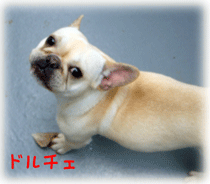 b0078030_103891.gif