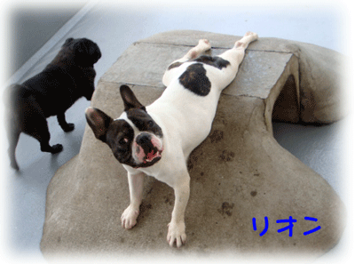 b0078030_163619.gif