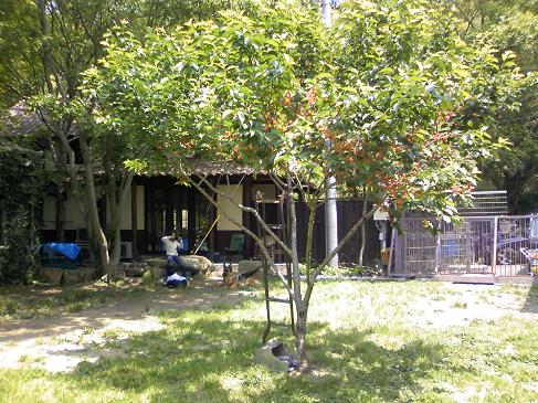 f0088731_20382916.jpg