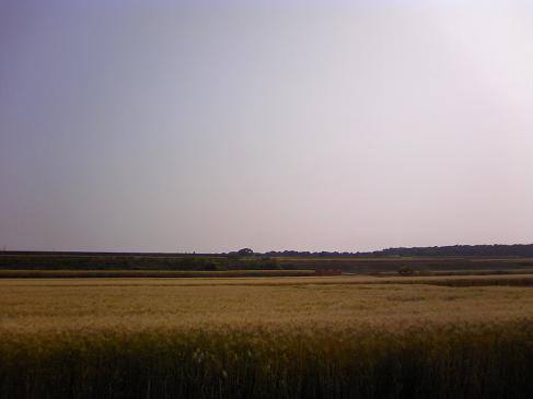 f0088731_20384356.jpg