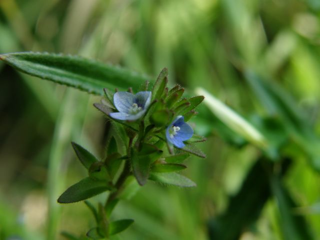 e0145033_20405616.jpg