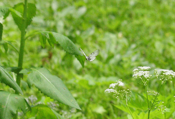 d0069235_2226392.jpg