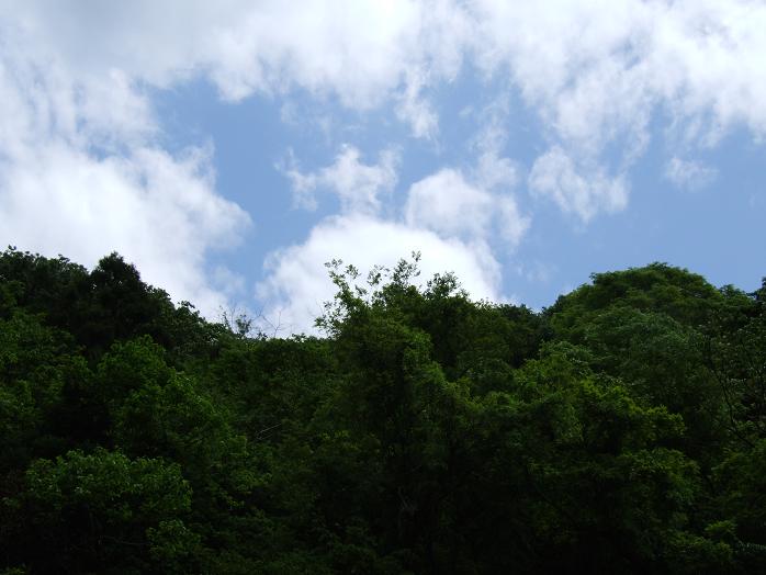 b0089338_2156572.jpg