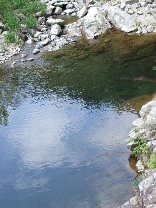b0089338_215658100.jpg