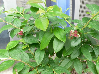 d0022845_21285835.jpg
