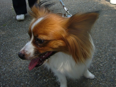 e0100046_213648.jpg