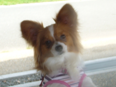 e0100046_21504775.jpg