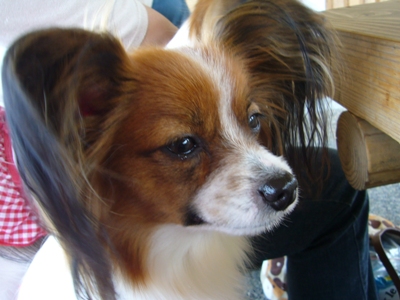 e0100046_2272360.jpg