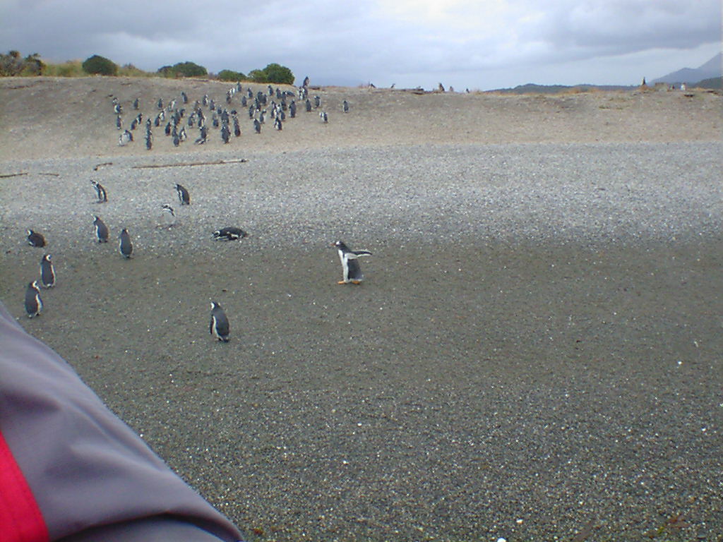 b0099851_912387.jpg