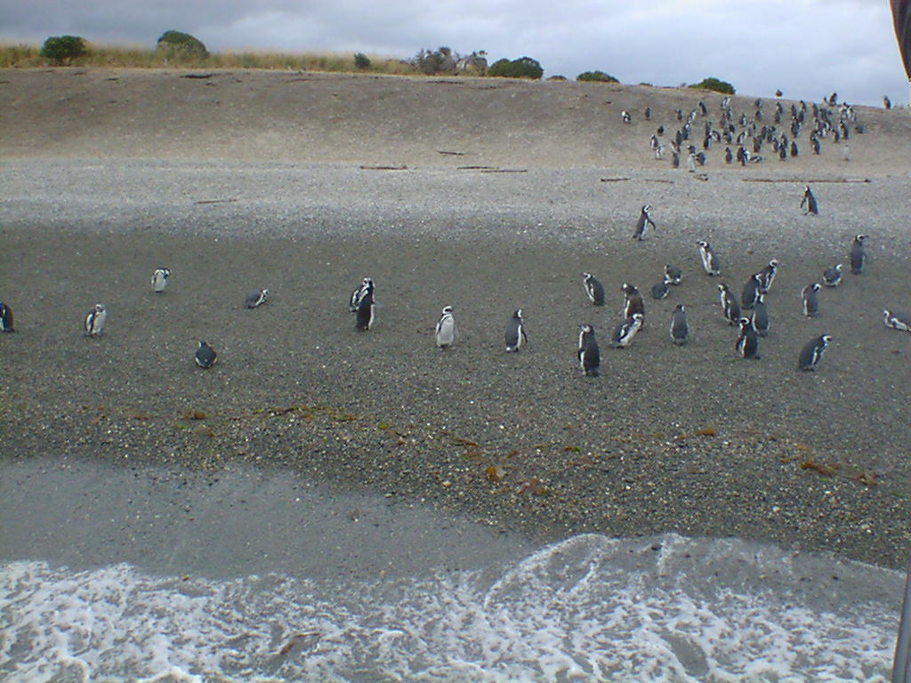 b0099851_99985.jpg