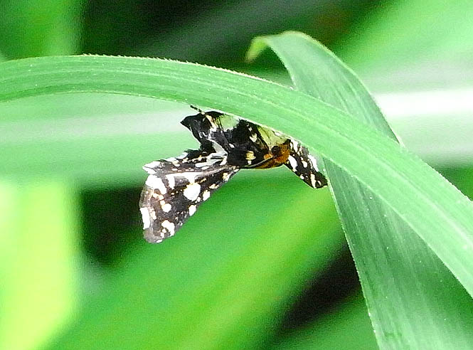 d0146854_22542017.jpg
