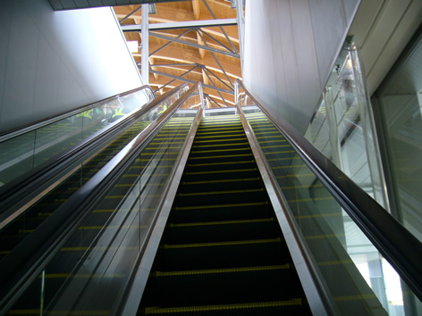f0067354_994812.jpg