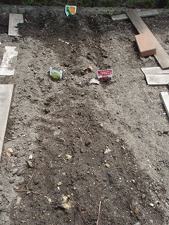 e0004756_21373648.jpg