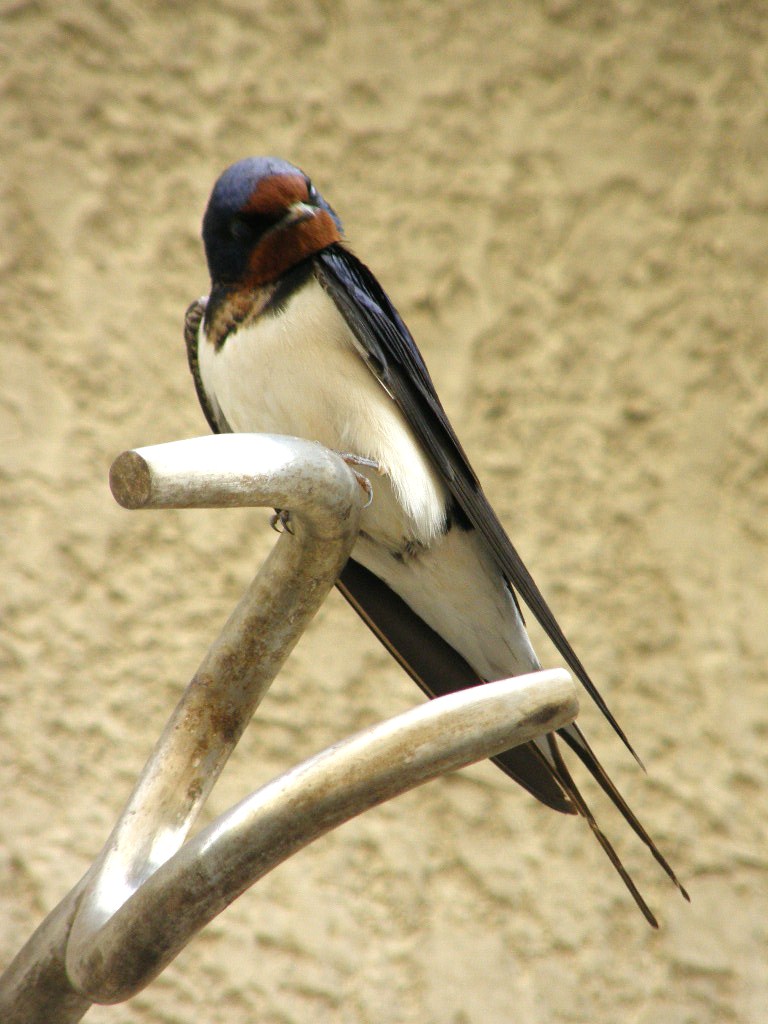 e0064158_129967.jpg