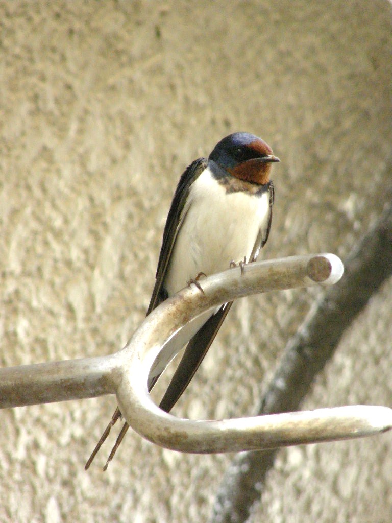 e0064158_130414.jpg