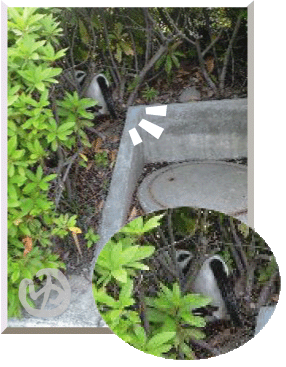 d0140762_1037250.gif