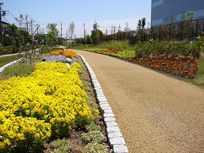 f0106664_724221.jpg